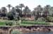 River Nile 014