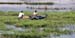 River Nile 023