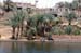 River Nile 032