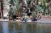 River Nile 033