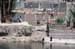 River Nile 035