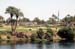 River Nile 037