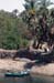River Nile 042