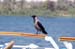 River Nile 076