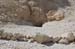valley-of-kings_30